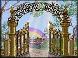 Raduzhnyy most Poema version of the Rainbow Bridge Poem