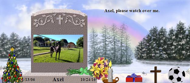 Axel's Rainbow Bridge Pet Loss Memorial Residency Image