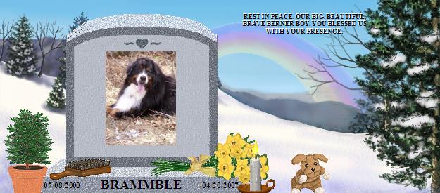 BRAMMBLE's Rainbow Bridge Pet Loss Memorial Residency Image