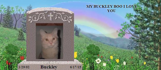 Buckley's Rainbow Bridge Pet Loss Memorial Residency Image