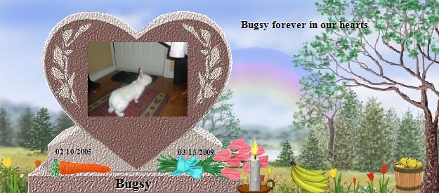 Bugsy's Rainbow Bridge Pet Loss Memorial Residency Image