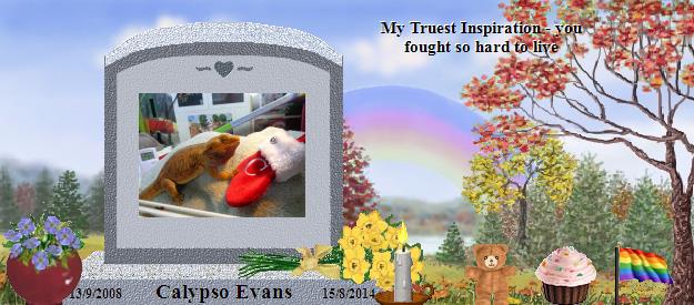 Calypso Evans's Rainbow Bridge Pet Loss Memorial Residency Image