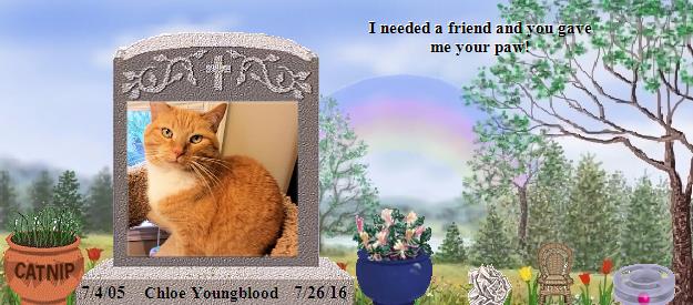Chloe Youngblood's Rainbow Bridge Pet Loss Memorial Residency Image