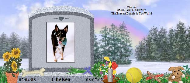 Chelsea's Rainbow Bridge Pet Loss Memorial Residency Image