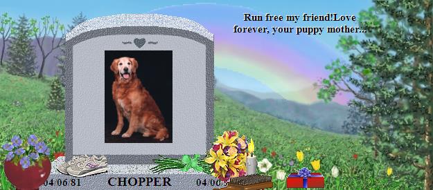 CHOPPER's Rainbow Bridge Pet Loss Memorial Residency Image