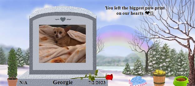 Georgie's Rainbow Bridge Pet Loss Memorial Residency Image