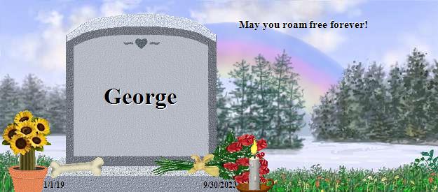 George's Rainbow Bridge Pet Loss Memorial Residency Image