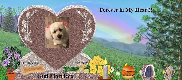 Gigi Marricco's Rainbow Bridge Pet Loss Memorial Residency Image