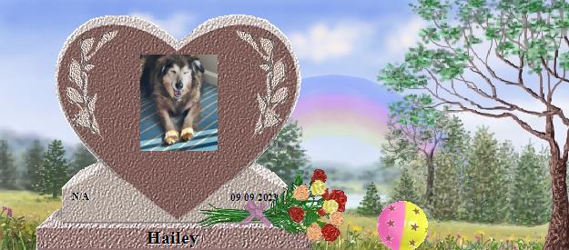 Hailey's Rainbow Bridge Pet Loss Memorial Residency Image