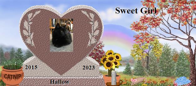 Hallow's Rainbow Bridge Pet Loss Memorial Residency Image