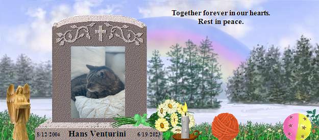 Hans Venturini's Rainbow Bridge Pet Loss Memorial Residency Image