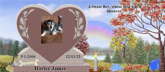 Harley James's Rainbow Bridge Pet Loss Memorial Residency Image