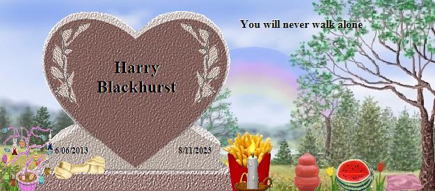 Harry Blackhurst's Rainbow Bridge Pet Loss Memorial Residency Image