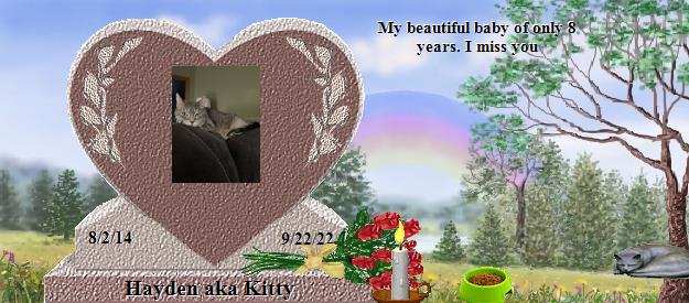Hayden aka Kitty's Rainbow Bridge Pet Loss Memorial Residency Image