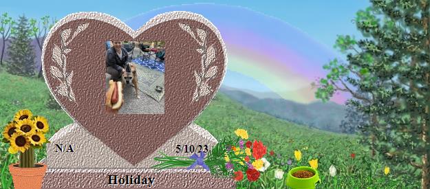Holiday's Rainbow Bridge Pet Loss Memorial Residency Image