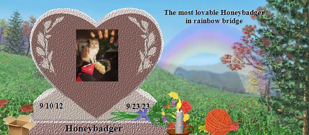 Honeybadger's Rainbow Bridge Pet Loss Memorial Residency Image