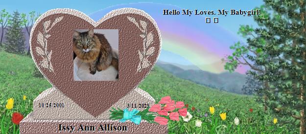 Issy Ann Allison's Rainbow Bridge Pet Loss Memorial Residency Image