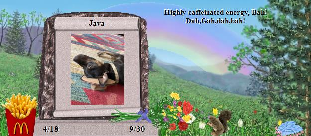 Java's Rainbow Bridge Pet Loss Memorial Residency Image