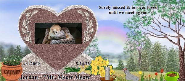 Jordan - "Mr. Meow Meow"'s Rainbow Bridge Pet Loss Memorial Residency Image