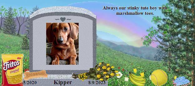 Kipper's Rainbow Bridge Pet Loss Memorial Residency Image