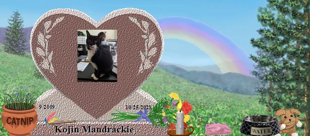 Kojin Mandrackie's Rainbow Bridge Pet Loss Memorial Residency Image