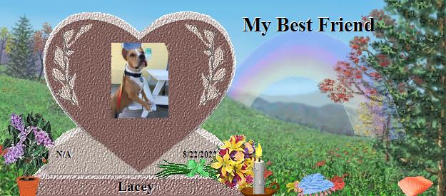 Lacey's Rainbow Bridge Pet Loss Memorial Residency Image