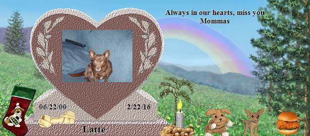 Latte's Rainbow Bridge Pet Loss Memorial Residency Image