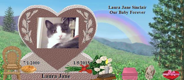 Laura Jane's Rainbow Bridge Pet Loss Memorial Residency Image