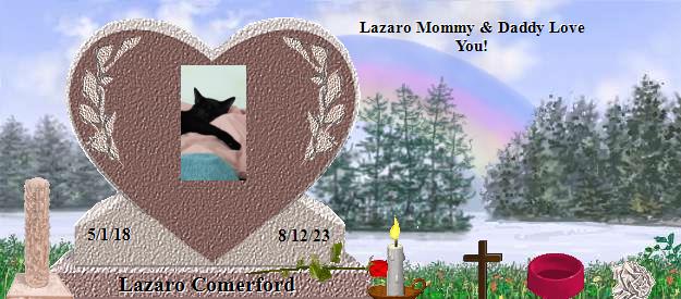 Lazaro Comerford's Rainbow Bridge Pet Loss Memorial Residency Image