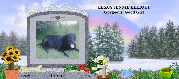 Lexus's Rainbow Bridge Pet Loss Memorial Residency Image