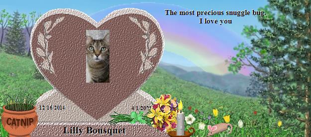 Lilly Bousquet's Rainbow Bridge Pet Loss Memorial Residency Image