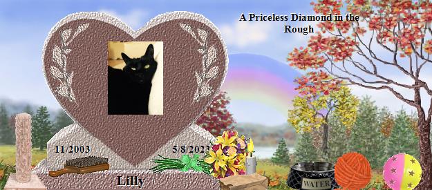 Lilly's Rainbow Bridge Pet Loss Memorial Residency Image