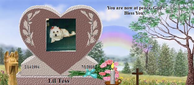 Lil Tess's Rainbow Bridge Pet Loss Memorial Residency Image