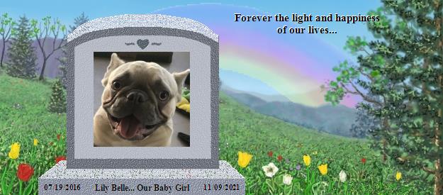 Lily Belle... Our Baby Girl's Rainbow Bridge Pet Loss Memorial Residency Image