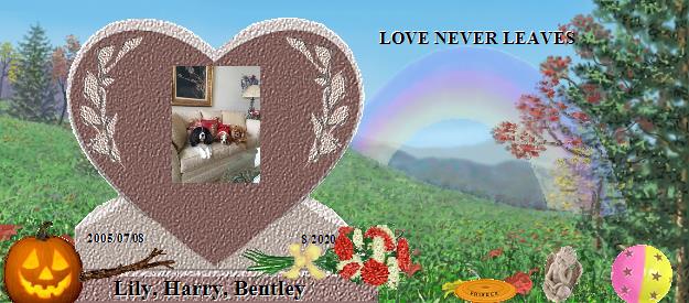Lily, Harry, Bentley's Rainbow Bridge Pet Loss Memorial Residency Image