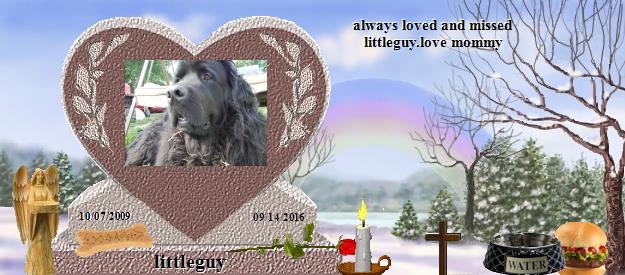 littleguy's Rainbow Bridge Pet Loss Memorial Residency Image