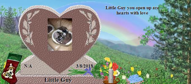 Little Guy's Rainbow Bridge Pet Loss Memorial Residency Image
