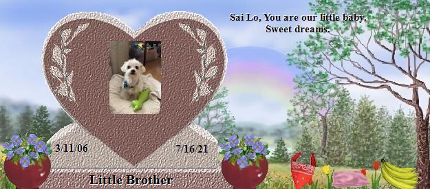 Little Brother's Rainbow Bridge Pet Loss Memorial Residency Image