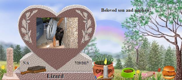 Lizard's Rainbow Bridge Pet Loss Memorial Residency Image
