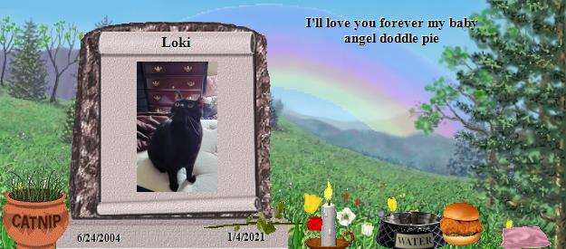 Loki's Rainbow Bridge Pet Loss Memorial Residency Image