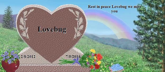 Lovebug's Rainbow Bridge Pet Loss Memorial Residency Image