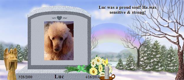 Luc's Rainbow Bridge Pet Loss Memorial Residency Image