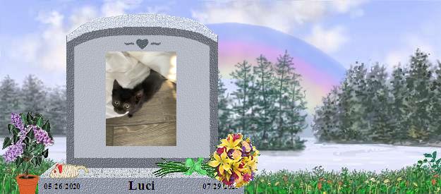 Luci's Rainbow Bridge Pet Loss Memorial Residency Image