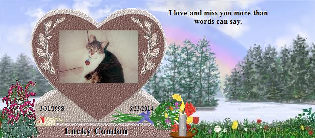 Lucky Condon's Rainbow Bridge Pet Loss Memorial Residency Image