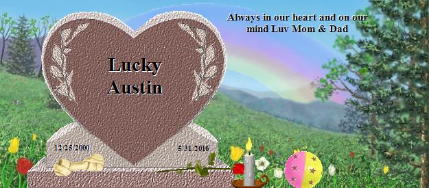 Lucky Austin's Rainbow Bridge Pet Loss Memorial Residency Image