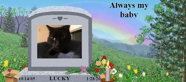 LUCKY's Rainbow Bridge Pet Loss Memorial Residency Image