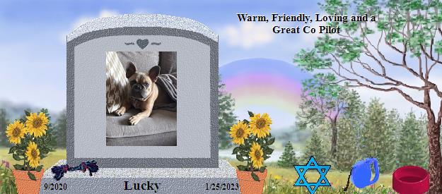 Lucky's Rainbow Bridge Pet Loss Memorial Residency Image