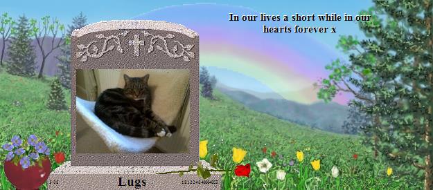 Lugs's Rainbow Bridge Pet Loss Memorial Residency Image