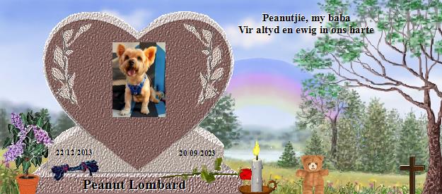 Peanut Lombard's Rainbow Bridge Pet Loss Memorial Residency Image