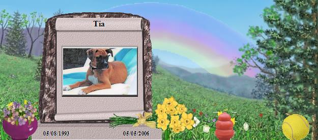 Tia's Rainbow Bridge Pet Loss Memorial Residency Image